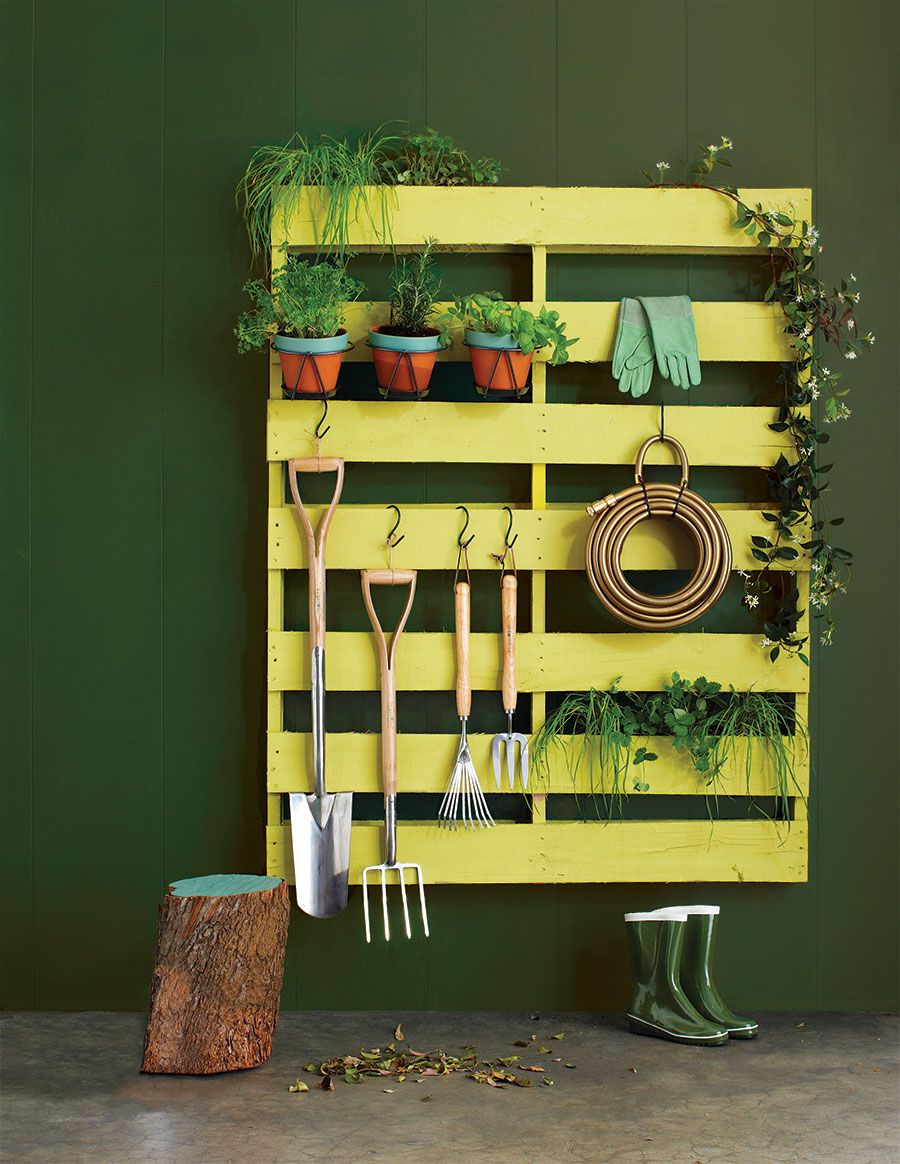 home gardening advice