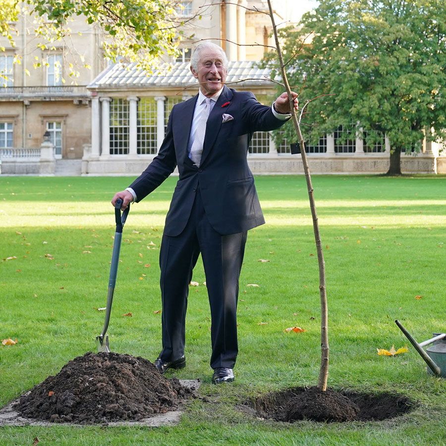 The Royal Eco-Warrior: Environmentalism Remains at the Centre of King ...