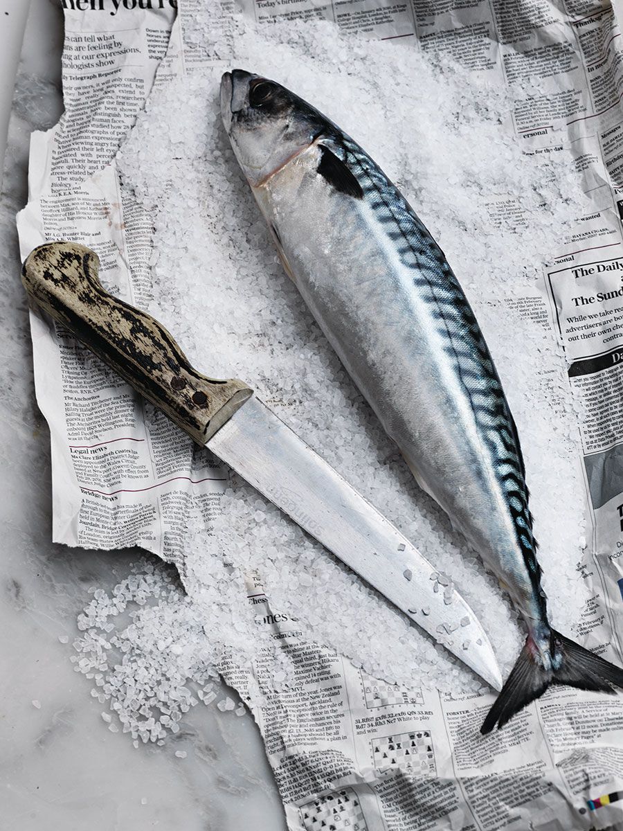 Fish Entertaining