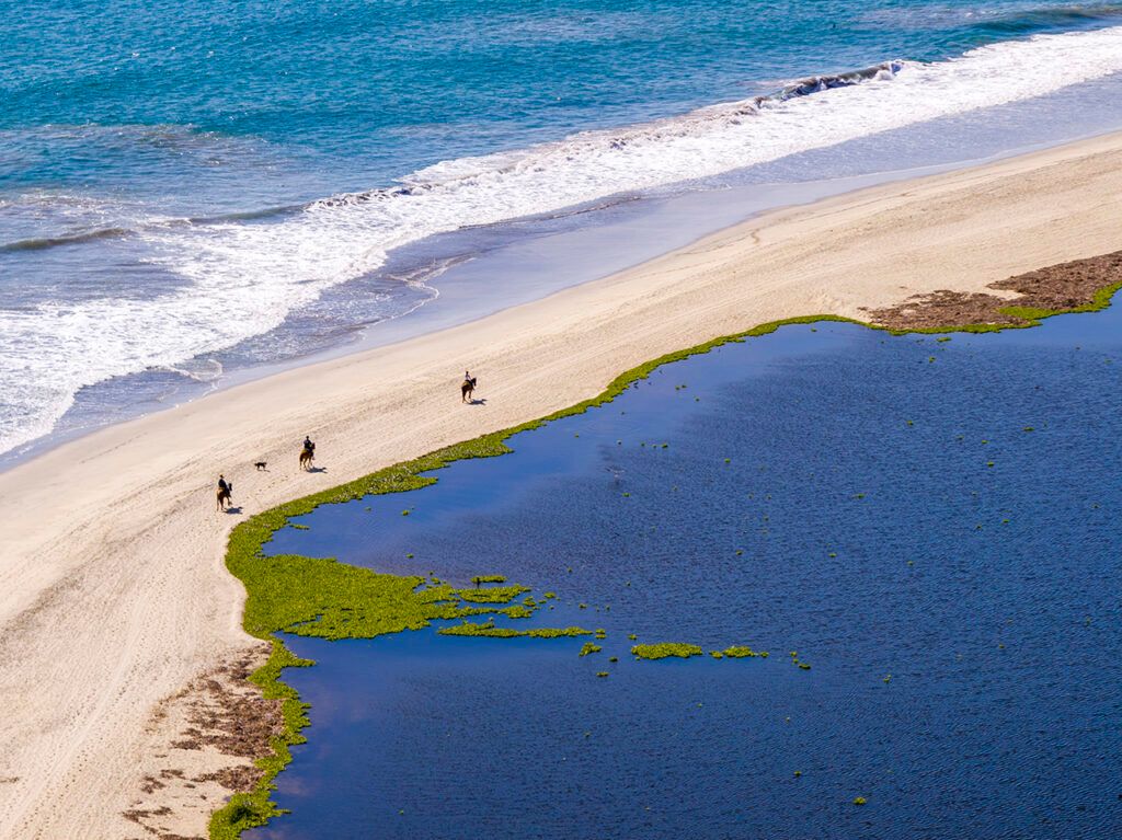 Los Cabos