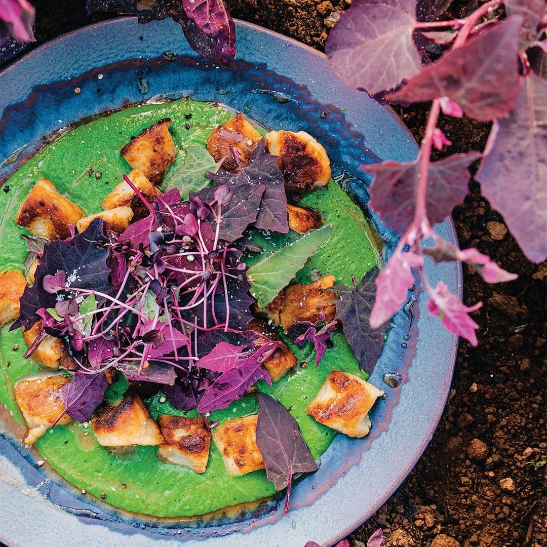 plant-based healthy recipes