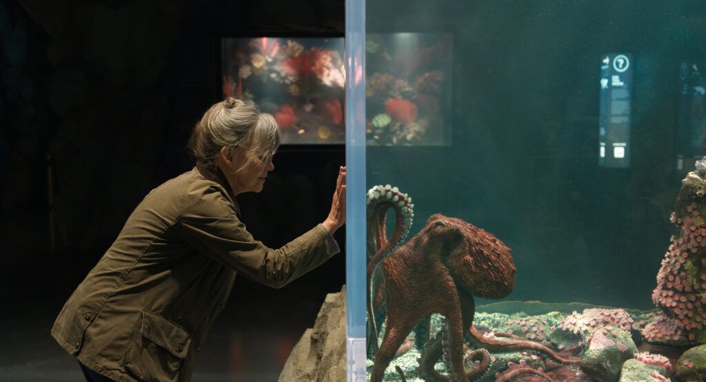 sally field with octopus