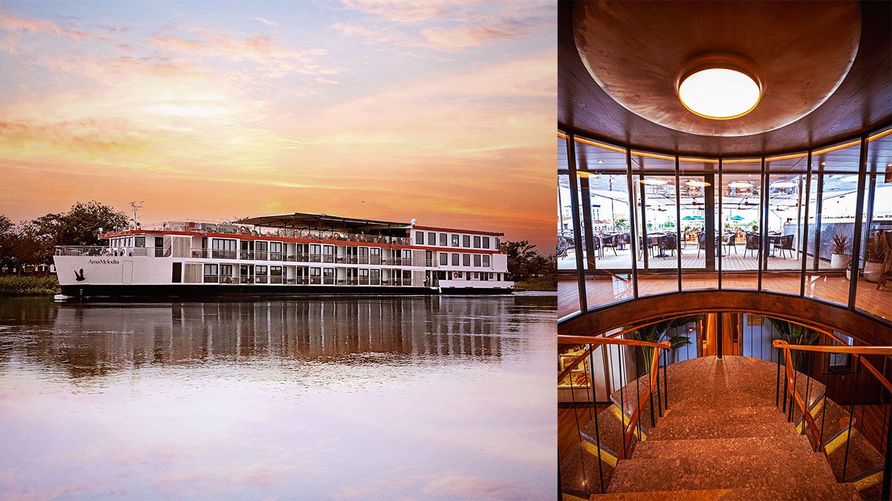 Cruises