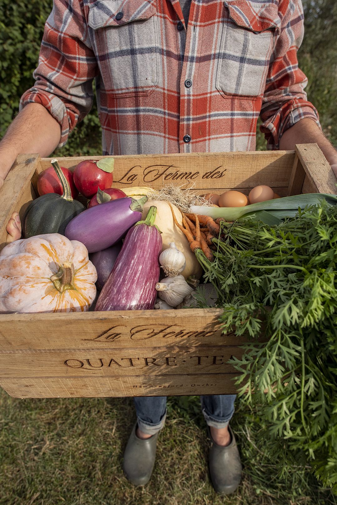 gardening benefits