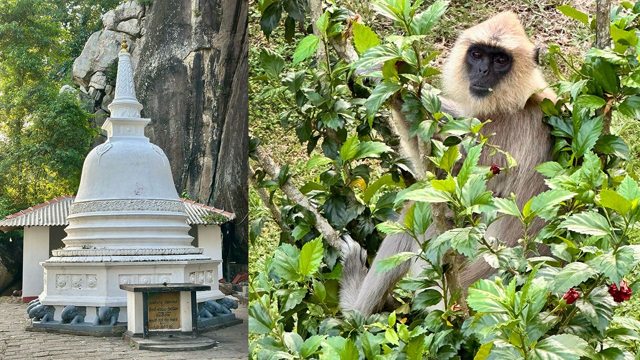 Sri Lanka